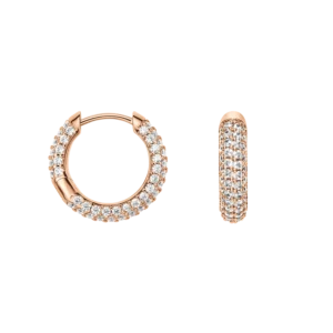 Orecchini Daniel Wellington Crystal DW00400627